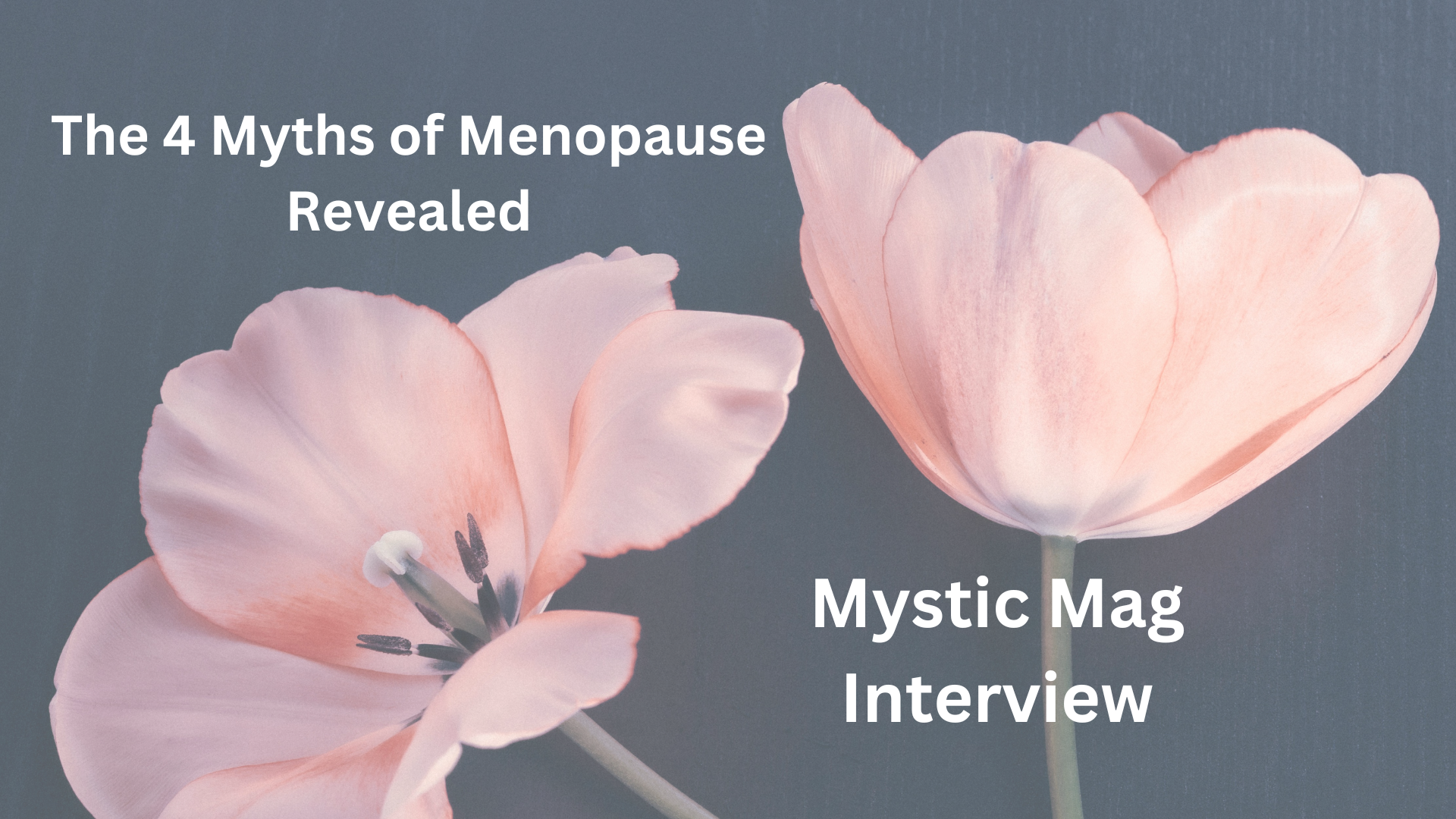 MysticMag Interview: The 4 Myths of Menopause Revealed